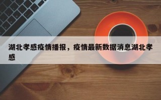 湖北孝感疫情播报，疫情最新数据消息湖北孝感