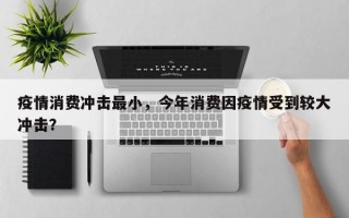 疫情消费冲击最小，今年消费因疫情受到较大冲击？