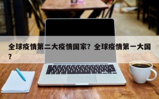 全球疫情第二大疫情国家？全球疫情第一大国？