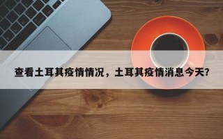 查看土耳其疫情情况，土耳其疫情消息今天？