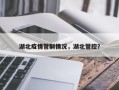 湖北疫情管制情况，湖北管控？