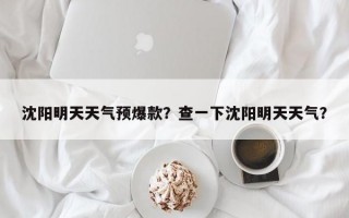 沈阳明天天气预爆款？查一下沈阳明天天气？