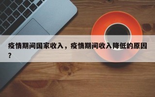 疫情期间国家收入，疫情期间收入降低的原因？