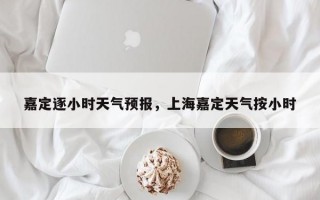 嘉定逐小时天气预报，上海嘉定天气按小时