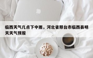 临西天气几点下中雨，河北省邢台市临西县明天天气预报
