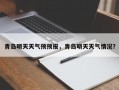 青岛明天天气预预报，青岛明天天气情况？
