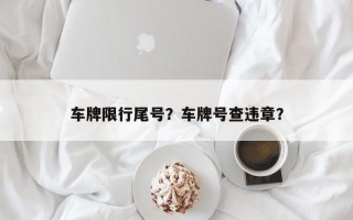 车牌限行尾号？车牌号查违章？