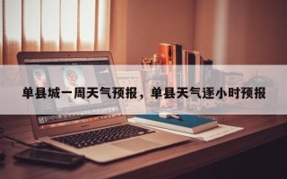 单县城一周天气预报，单县天气逐小时预报